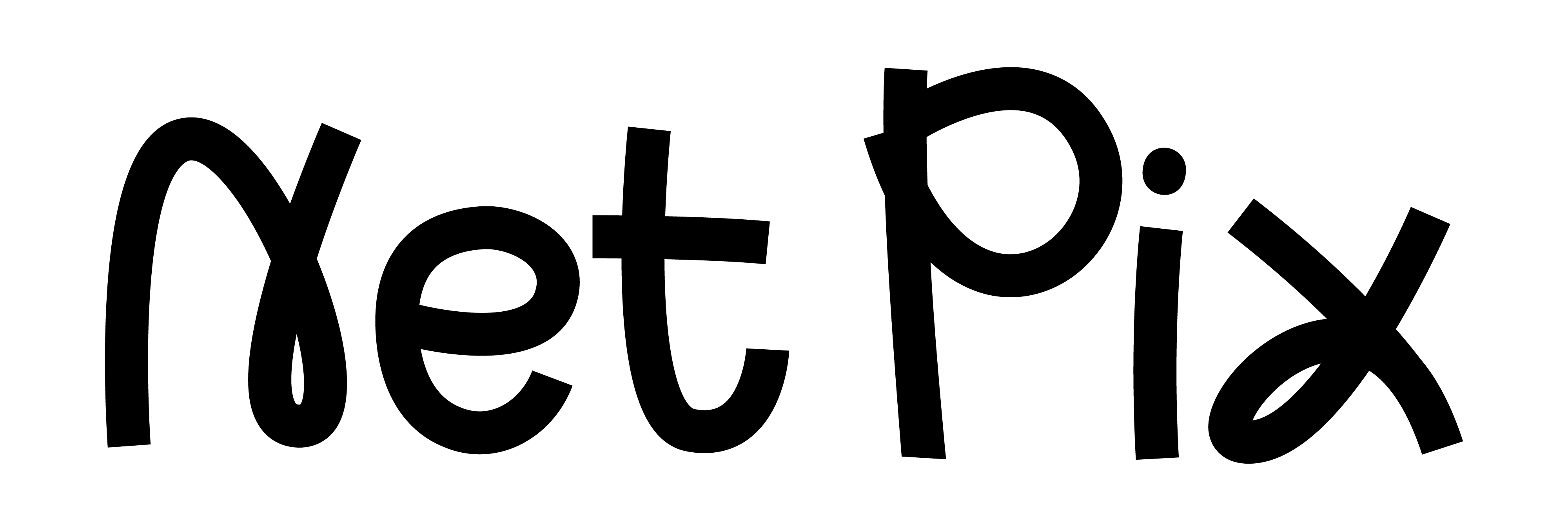 NetPix Logo